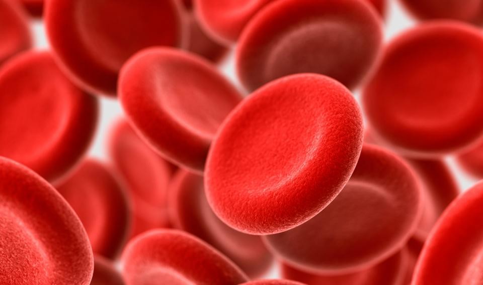 Rodablodceller hemoclear - patienten blir sin egen blodgivare adcuris